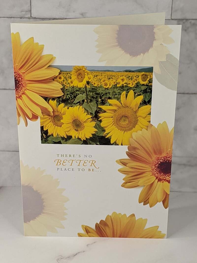 There's no better place to be...