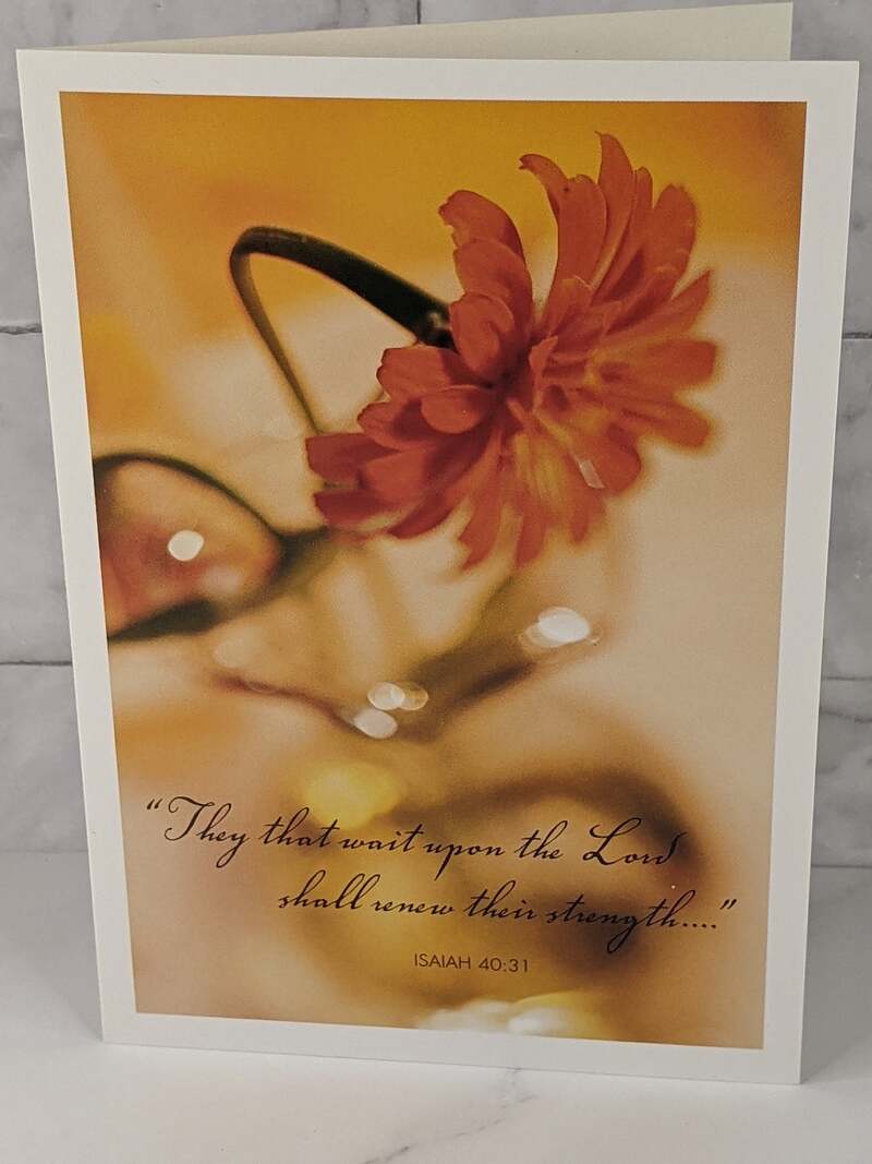 They that wait upon the Lord