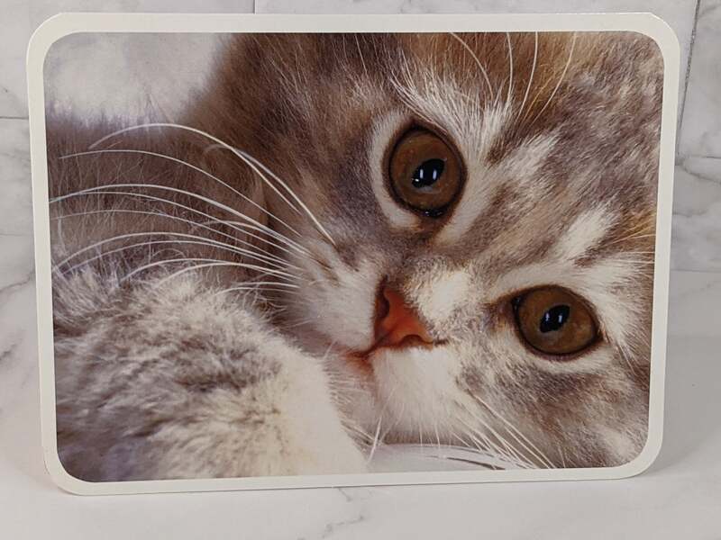 You're in my thoughts and prayers.