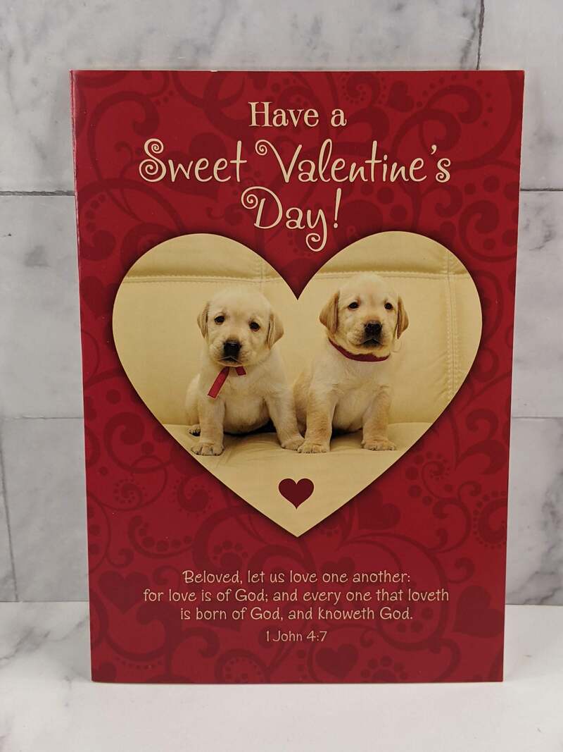Sweet Valentine's Day Secret Sister Card