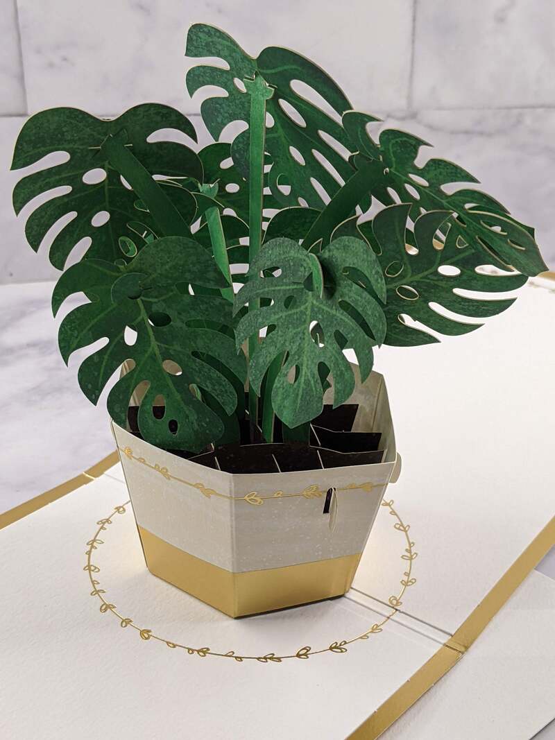 Thinking of You Plant Pop-Up Card