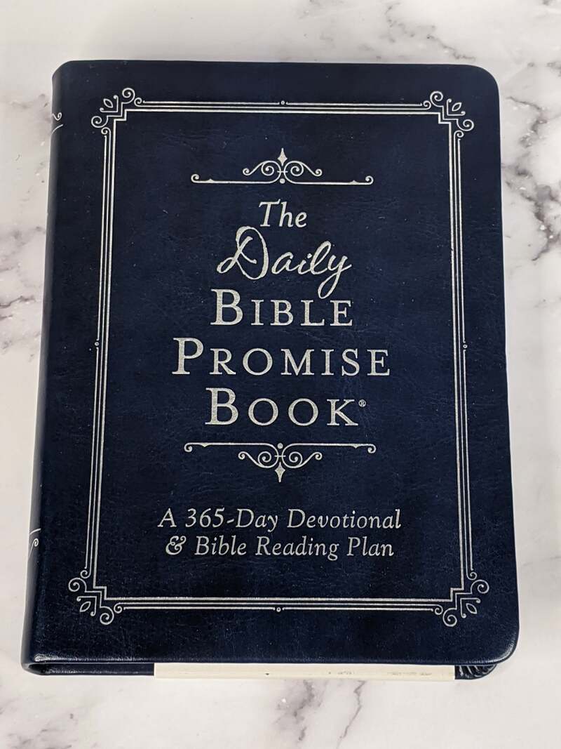 The Daily Bible Promise Book