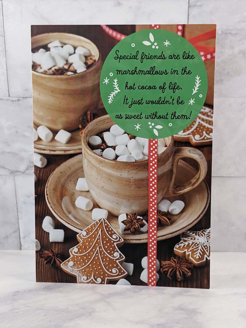 Special Friends Cocoa Christmas Card